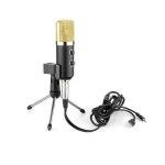BM-100FX USB Powered Condenser Studio Recording Microphone