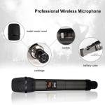 SHENGFU W-14 Professional Wireless Microphone