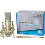U87 Studio Condenser Microphone With Large Diaphragm